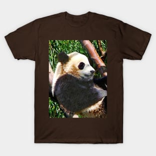 Panda in Tree T-Shirt